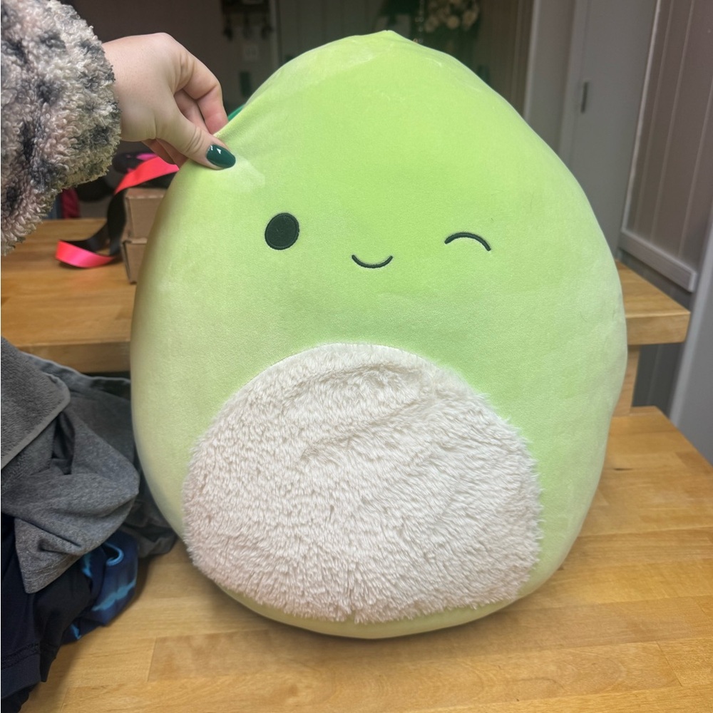 Henry 16” turtle